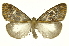  ( - INB0003756261)  @11 [ ] Copyright (2012) Juan Mata Lorenzen Unspecified