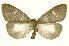  ( - INB0003756261)  @11 [ ] Copyright (2012) Juan Mata Lorenzen Unspecified
