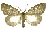  ( - INB0003756325)  @11 [ ] Copyright (2012) Juan Mata Lorenzen Unspecified