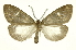  ( - INB0003756335)  @11 [ ] Copyright (2012) Juan Mata Lorenzen Unspecified