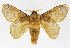  ( - INB0003756410)  @12 [ ] Copyright (2012) J. Montero Instituto Nacional de Biodiversidad
