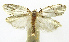  ( - INB0003756441)  @12 [ ] CreativeCommons - Attribution Non-Commercial Share-Alike (2012) National Biodiversity Institute of Costa Rica National Biodiversity Institute of Costa Rica