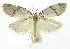  ( - INB0003756508)  @12 [ ] CreativeCommons - Attribution Non-Commercial Share-Alike (2012) National Biodiversity Institute of Costa Rica National Biodiversity Institute of Costa Rica