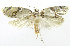  ( - INB0003756598)  @12 [ ] CreativeCommons - Attribution Non-Commercial Share-Alike (2012) National Biodiversity Institute of Costa Rica National Biodiversity Institute of Costa Rica