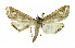  ( - INB0003756609)  @12 [ ] CreativeCommons - Attribution Non-Commercial Share-Alike  National Biodiversity Institute of Costa Rica National Biodiversity Institute of Costa Rica