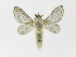  ( - INB0003765921)  @14 [ ] Copyright (2012) J. Montero Instituto Nacional de Biodiversidad