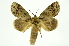  ( - INB0003766438)  @14 [ ] Copyright (2012) Juan Mata Lorenzen Unspecified