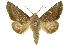  ( - INB0003766442)  @15 [ ] Copyright (2012) J. Montero INBio