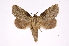  ( - INB0003766445)  @13 [ ] Copyright (2012) I. Chacon Instituto Nacional de Biodiversidad