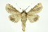  ( - INB0003766473)  @13 [ ] Copyright (2012) Juan Mata Lorenzen Unspecified