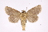  ( - INB0003766511)  @13 [ ] Copyright (2012) I. Chacon Instituto Nacional de Biodiversidad