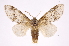  ( - INB0003766512)  @14 [ ] Copyright (2012) I. Chacon Instituto Nacional de Biodiversidad