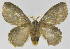  ( - INB0003766610)  @12 [ ] Copyright (2012) J. Montero Instituto Nacional de Biodiversidad