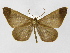  ( - INB0003772768)  @13 [ ] Copyright (2012) J. Montero Instituto Nacional de Biodiversidad