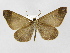  ( - INB0003772768)  @13 [ ] Copyright (2012) J. Montero Instituto Nacional de Biodiversidad