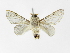  ( - INB0003779599)  @13 [ ] Copyright (2012) J. Montero Instituto Nacional de Biodiversidad
