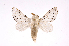  ( - INB0003779610)  @14 [ ] Copyright (2012) J. Montero Instituto Nacional de Biodiversidad