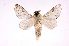  ( - INB0003779610)  @13 [ ] Copyright (2012) J. Montero Instituto Nacional de Biodiversidad