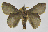  ( - INB0003779635)  @12 [ ] Copyright (2012) J. Montero Instituto Nacional de Biodiversidad