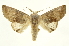  ( - INB0003779641)  @15 [ ] Copyright (2012) J. Montero INBio