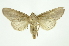  ( - INB0003783446)  @11 [ ] Copyright (2012) Juan Mata Lorenzen Unspecified