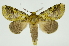  ( - INB0003784089)  @14 [ ] Copyright (2012) Juan Mata Lorenzen Unspecified