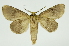  ( - INB0003784089)  @14 [ ] Copyright (2012) Juan Mata Lorenzen Unspecified