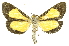  ( - INB0003814075)  @11 [ ] Copyright (2012) Juan Mata Lorenzen INBio