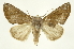  ( - INB0003835542)  @11 [ ] Copyright (2012) J. Montero INBio