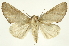  ( - INB0003835542)  @11 [ ] Copyright (2012) J. Montero INBio