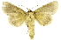  ( - INB0003837086)  @13 [ ] Copyright (2012) Juan Mata Lorenzen Unspecified
