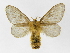  ( - INB0003842066)  @14 [ ] Copyright (2012) J. Montero Instituto Nacional de Biodiversidad