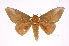  ( - INB0003842823)  @14 [ ] Copyright (2012) I. Chacon Instituto Nacional de Biodiversidad