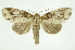  ( - INB0003843919)  @13 [ ] Copyright (2012) Juan Mata Lorenzen Unspecified
