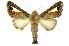  ( - INB0003843945)  @11 [ ] Copyright (2012) Juan Mata Lorenzen Unspecified