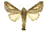  ( - INB0003843945)  @11 [ ] Copyright (2012) Juan Mata Lorenzen Unspecified