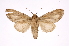  ( - INB0003849938)  @12 [ ] Copyright (2012) I. Chacon Instituto Nacional de Biodiversidad