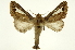  ( - INB0003851403)  @11 [ ] Copyright (2012) Juan Mata Lorenzen Unspecified