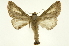  ( - INB0003851403)  @11 [ ] Copyright (2012) Juan Mata Lorenzen Unspecified