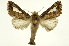  ( - INB0003851404)  @11 [ ] Copyright (2012) Juan Mata Lorenzen Unspecified