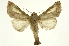  ( - INB0003851404)  @11 [ ] Copyright (2012) Juan Mata Lorenzen Unspecified