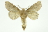  ( - INB0003851893)  @11 [ ] Copyright (2012) Juan Mata Lorenzen Unspecified