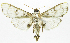  ( - INB0003852675)  @11 [ ] CreativeCommons - Attribution Non-Commercial Share-Alike  National Biodiversity Institute of Costa Rica National Biodiversity Institute of Costa Rica