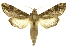  ( - INB0003852688)  @11 [ ] Copyright (2012) Juan Mata Lorenzen Unspecified