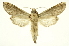  ( - INB0003852688)  @11 [ ] Copyright (2012) Juan Mata Lorenzen Unspecified