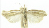  ( - INB0003855402)  @14 [ ] CreativeCommons - Attribution Non-Commercial Share-Alike (2012) National Biodiversity Institute of Costa Rica National Biodiversity Institute of Costa Rica