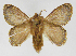  ( - INB0003855767)  @12 [ ] Copyright (2012) J. Montero Instituto Nacional de Biodiversidad