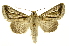  ( - INB0003860719)  @14 [ ] Copyright (2012) Juan Mata Lorenzen Unspecified