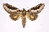  ( - INB0003860972)  @14 [ ] Copyright (2012) I. Chacon Instituto Nacional de Biodiversidad