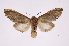  ( - INB0003861960)  @14 [ ] Copyright (2012) I. Chacon Instituto Nacional de Biodiversidad